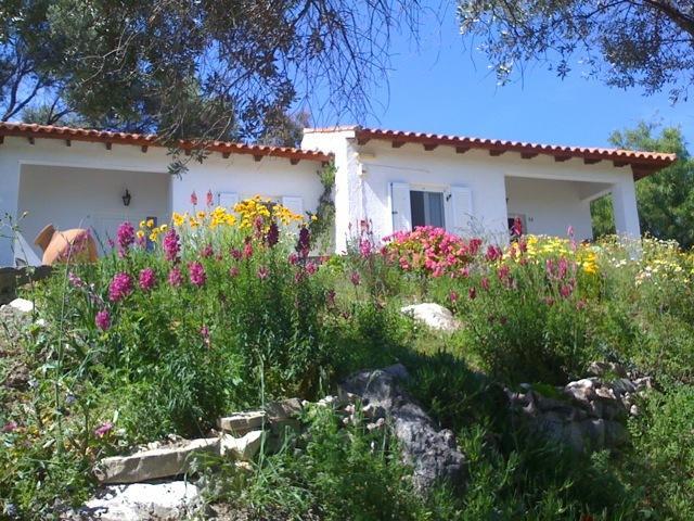 Elena Bungalows Aparthotel Pythagoreio  Ruang foto